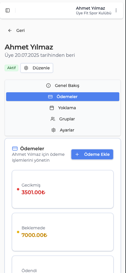 Mobil görünüm